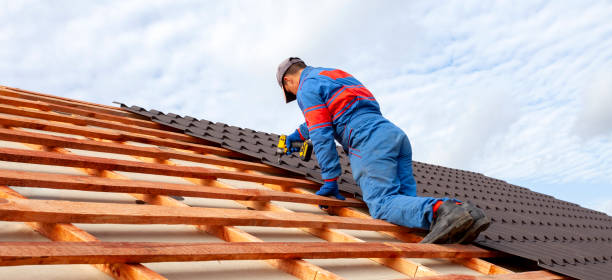 Best Skylight Installation and Repair  in , OK